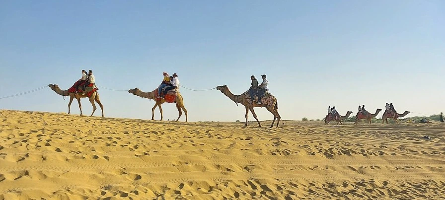 camel riding in thar desert