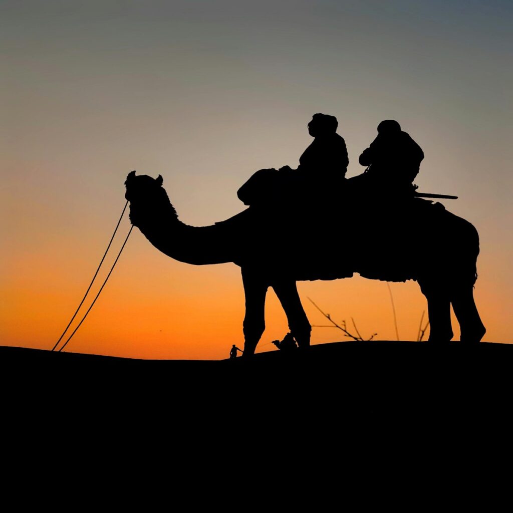 Blog on evening desert safari in Rajasthan
